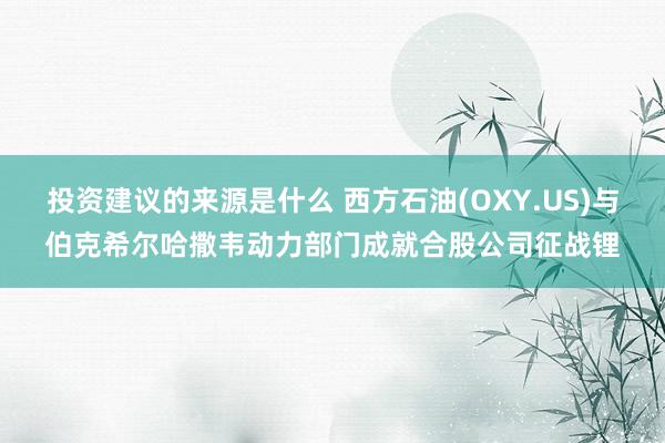 投资建议的来源是什么 西方石油(OXY.US)与伯克希尔哈撒韦动力部门成就合股公司征战锂