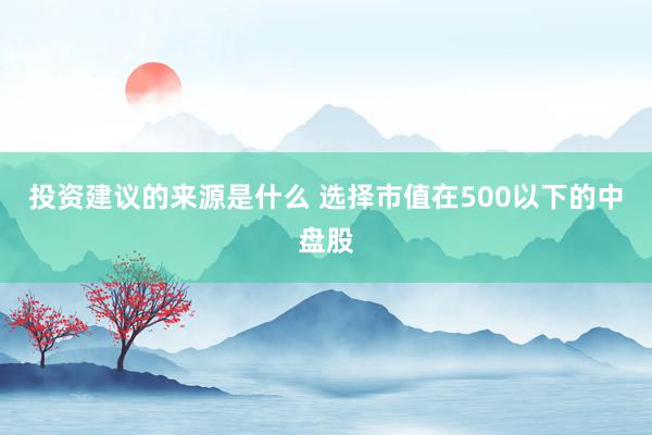 投资建议的来源是什么 选择市值在500以下的中盘股