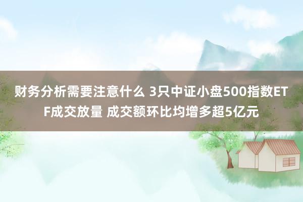 财务分析需要注意什么 3只中证小盘500指数ETF成交放量 成交额环比均增多超5亿元