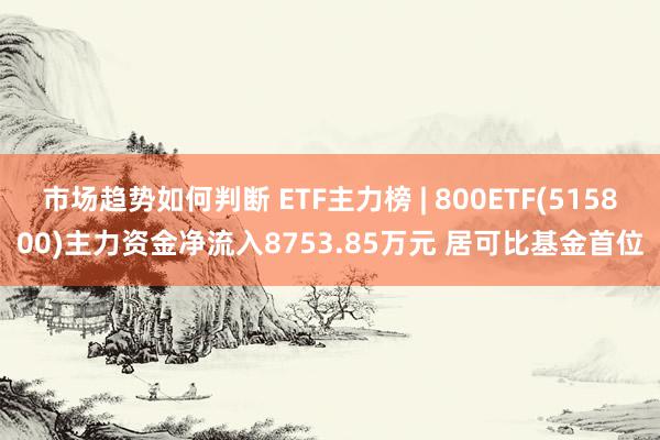 市场趋势如何判断 ETF主力榜 | 800ETF(515800)主力资金净流入8753.85万元 居可比基金首位