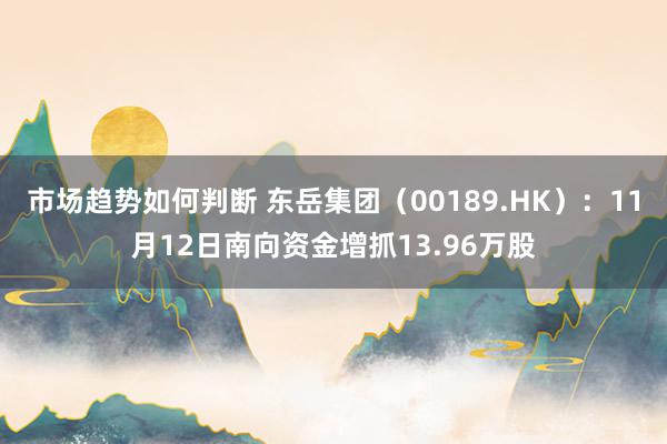 市场趋势如何判断 东岳集团（00189.HK）：11月12日南向资金增抓13.96万股