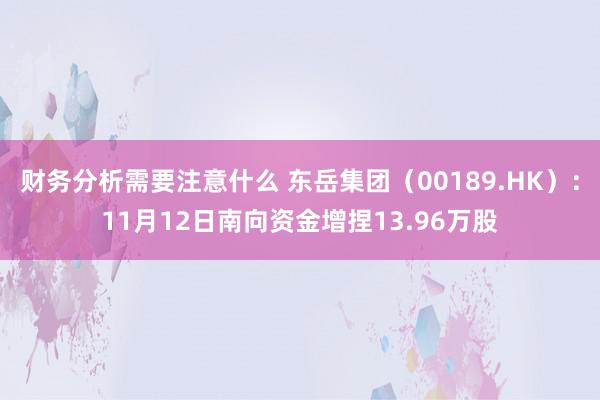 财务分析需要注意什么 东岳集团（00189.HK）：11月12日南向资金增捏13.96万股