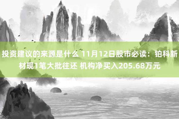 投资建议的来源是什么 11月12日股市必读：铂科新材现1笔大批往还 机构净买入205.68万元