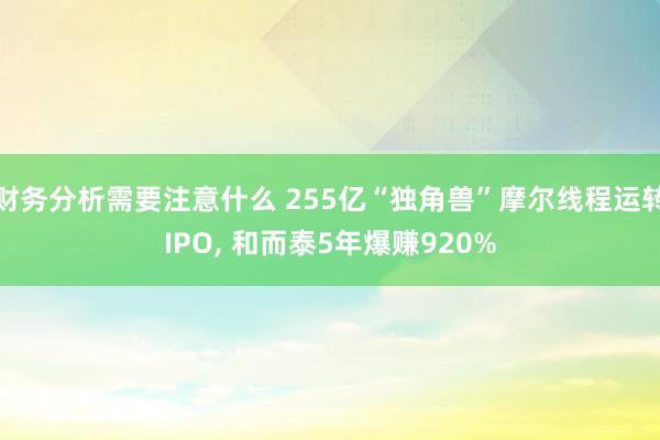 财务分析需要注意什么 255亿“独角兽”摩尔线程运转IPO, 和而泰5年爆赚920%