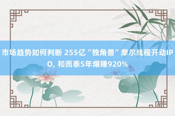 市场趋势如何判断 255亿“独角兽”摩尔线程开动IPO, 和而泰5年爆赚920%