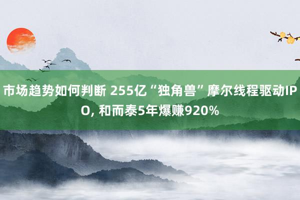 市场趋势如何判断 255亿“独角兽”摩尔线程驱动IPO, 和而泰5年爆赚920%