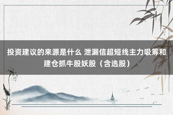 投资建议的来源是什么 泄漏信超短线主力吸筹和建仓抓牛股妖股（含选股）