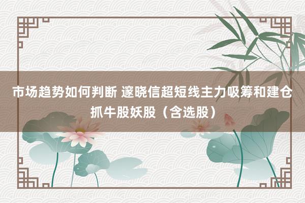 市场趋势如何判断 邃晓信超短线主力吸筹和建仓抓牛股妖股（含选股）