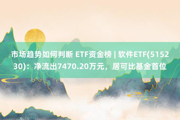 市场趋势如何判断 ETF资金榜 | 软件ETF(515230)：净流出7470.20万元，居可比基金首位