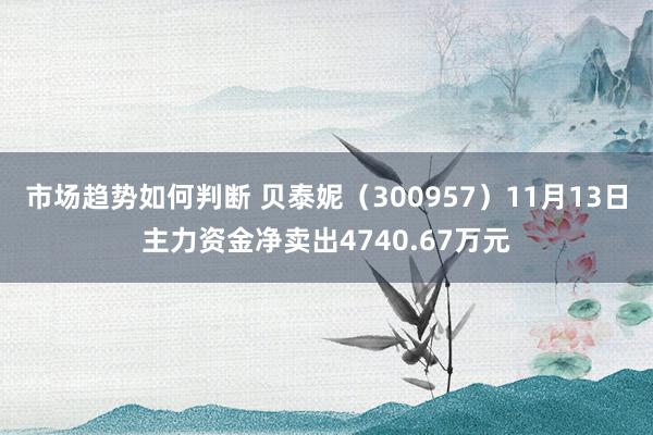 市场趋势如何判断 贝泰妮（300957）11月13日主力资金净卖出4740.67万元