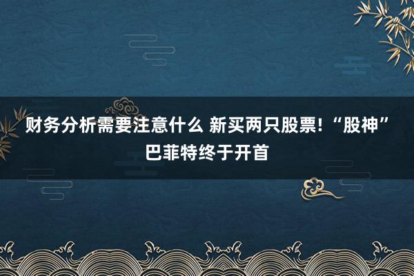 财务分析需要注意什么 新买两只股票! “股神”巴菲特终于开首