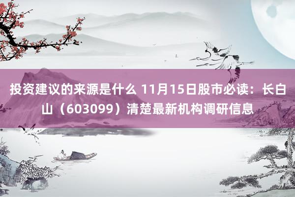 投资建议的来源是什么 11月15日股市必读：长白山（603099）清楚最新机构调研信息