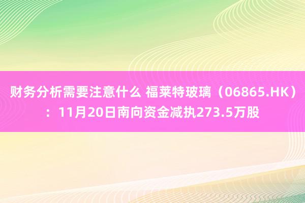 财务分析需要注意什么 福莱特玻璃（06865.HK）：11月20日南向资金减执273.5万股