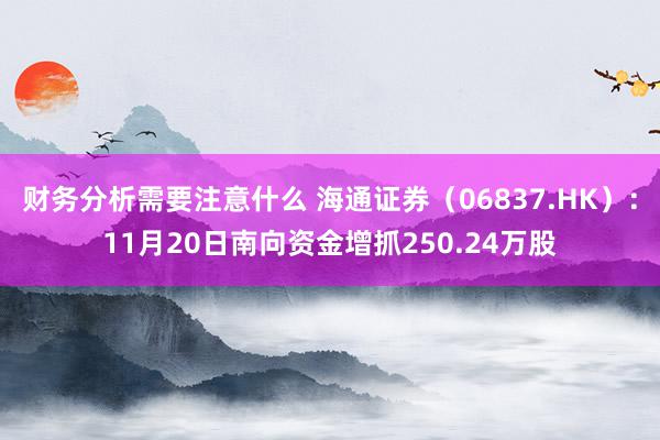 财务分析需要注意什么 海通证券（06837.HK）：11月20日南向资金增抓250.24万股