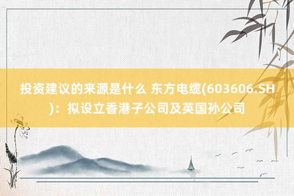 投资建议的来源是什么 东方电缆(603606.SH)：拟设立香港子公司及英国孙公司