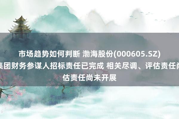 市场趋势如何判断 渤海股份(000605.SZ)：水务集团财务参谋人招标责任已完成 相关尽调、评估责任尚未开展