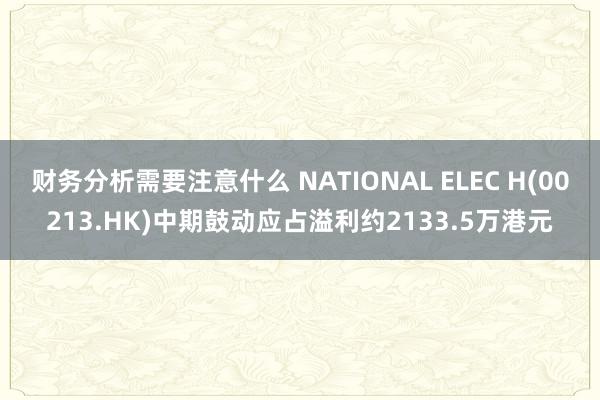 财务分析需要注意什么 NATIONAL ELEC H(00213.HK)中期鼓动应占溢利约2133.5万港元