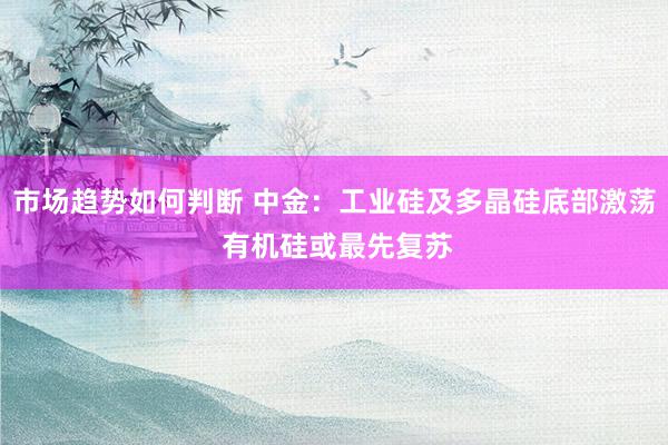 市场趋势如何判断 中金：工业硅及多晶硅底部激荡 有机硅或最先复苏