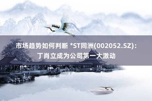 市场趋势如何判断 *ST同洲(002052.SZ)：丁肖立成为公司第一大激动