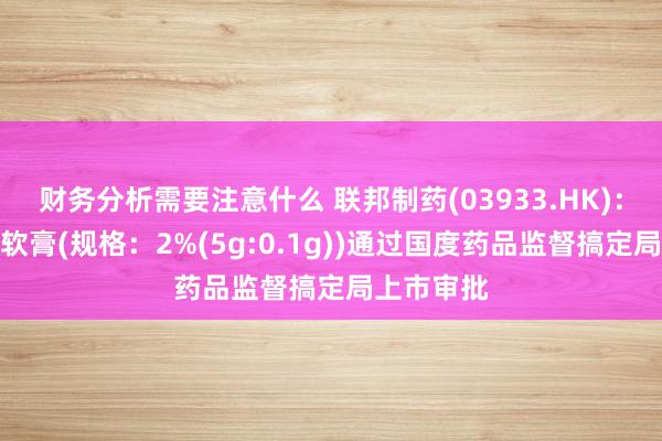 财务分析需要注意什么 联邦制药(03933.HK)：莫匹罗星软膏(规格：2%(5g:0.1g))通过国度药品监督搞定局上市审批