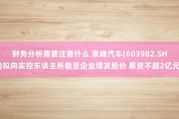 财务分析需要注意什么 泉峰汽车(603982.SH)拟向实控东谈主所截至企业增发股份 募资不超2亿元