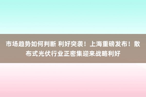 市场趋势如何判断 利好突袭！上海重磅发布！散布式光伏行业正密集迎来战略利好