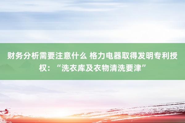 财务分析需要注意什么 格力电器取得发明专利授权：“洗衣库及衣物清洗要津”