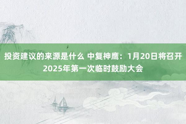 投资建议的来源是什么 中复神鹰：1月20日将召开2025年第一次临时鼓励大会