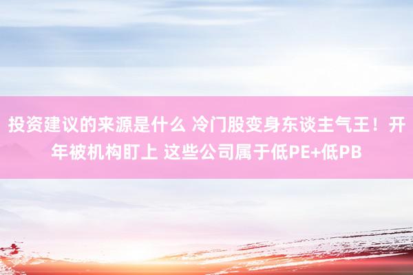 投资建议的来源是什么 冷门股变身东谈主气王！开年被机构盯上 这些公司属于低PE+低PB