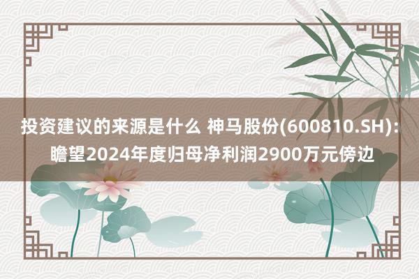 投资建议的来源是什么 神马股份(600810.SH): 瞻望2024年度归母净利润2900万元傍边