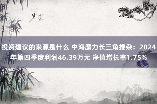 投资建议的来源是什么 中海魔力长三角搀杂：2024年第四季度利润46.39万元 净值增长率1.75%