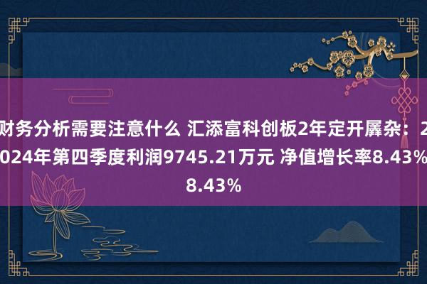 财务分析需要注意什么 汇添富科创板2年定开羼杂：2024年第四季度利润9745.21万元 净值增长率8.43%