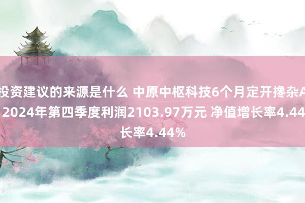 投资建议的来源是什么 中原中枢科技6个月定开搀杂A：2024年第四季度利润2103.97万元 净值增长率4.44%