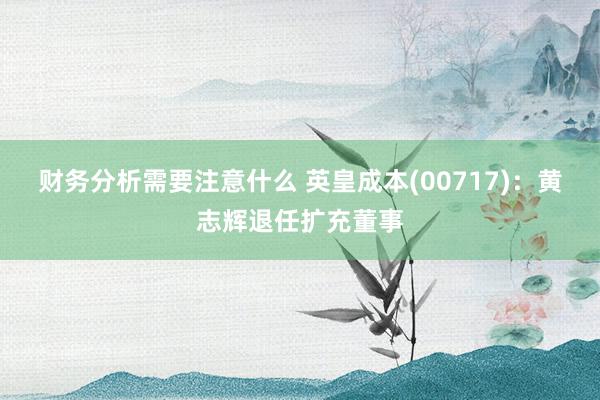 财务分析需要注意什么 英皇成本(00717)：黄志辉退任扩充董事